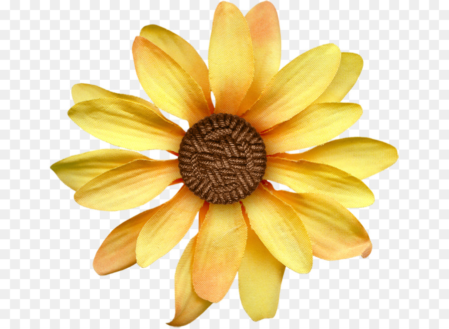 Girasol，Amarillo PNG