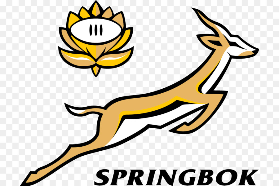Sudáfrica Equipo Nacional De Rugby De，2017 Campeonato De Rugby PNG