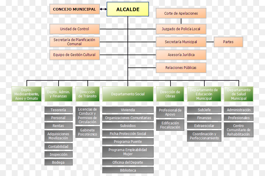 Organigrama，Estructura De La Organización PNG