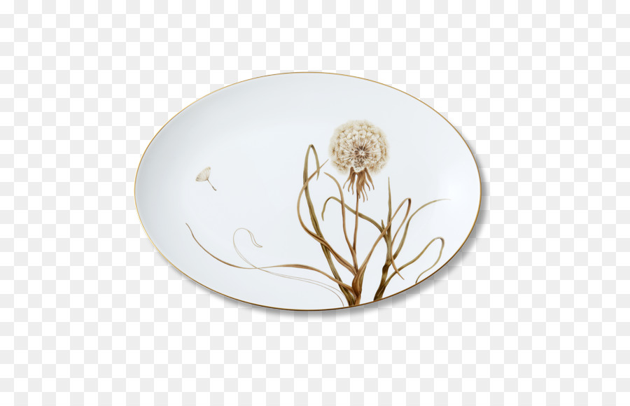 Placa，Porcelana PNG