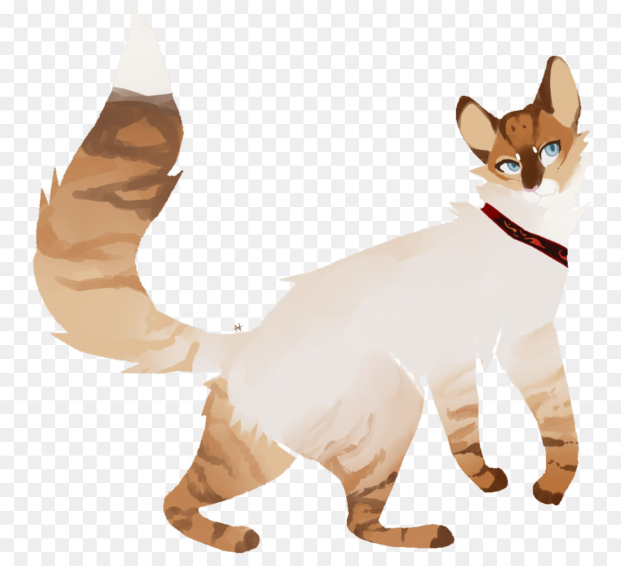 Gato，Felino PNG