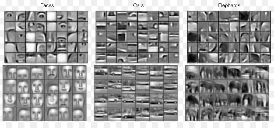 Reconocimiento De Imágenes，Caras PNG