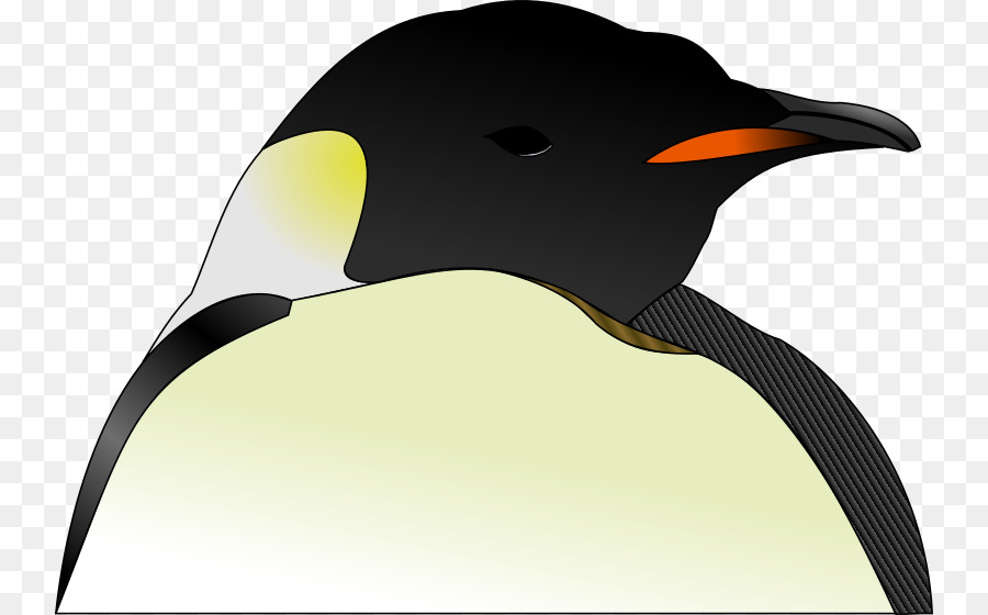 Penguin，Pájaro PNG