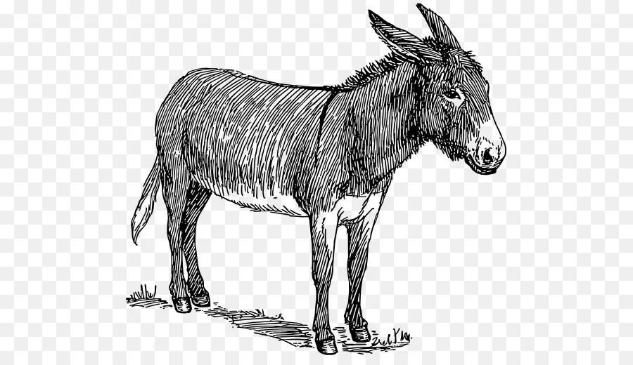 Burro，Granja PNG