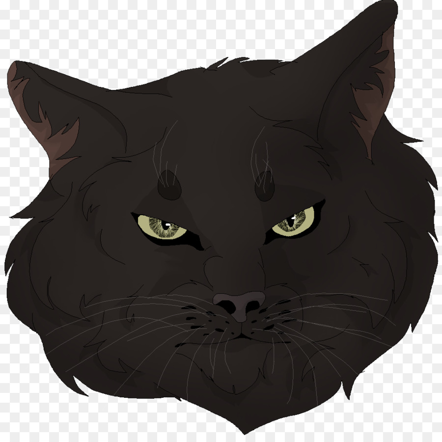 Bombay Gato，Gato Negro PNG