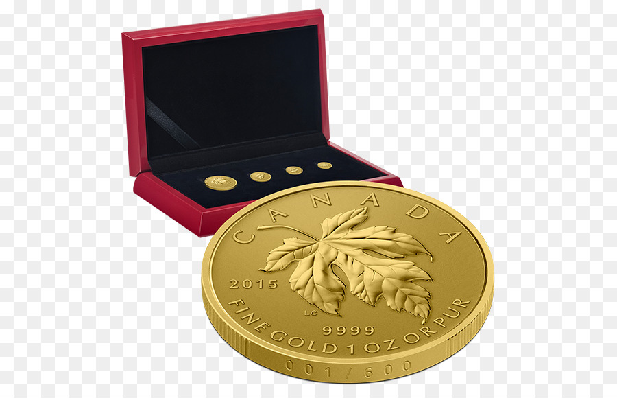 Moneda，Oro PNG