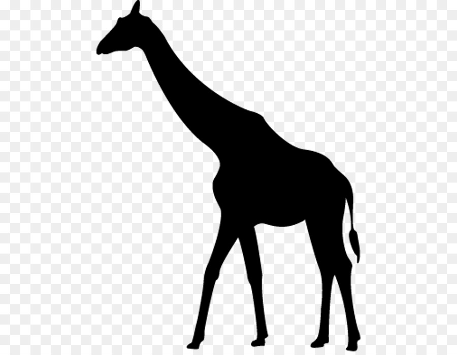 Silueta De Llama，Llama PNG