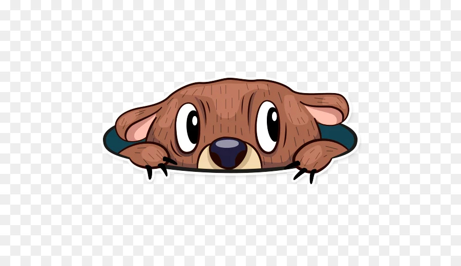 Perro，Oso PNG