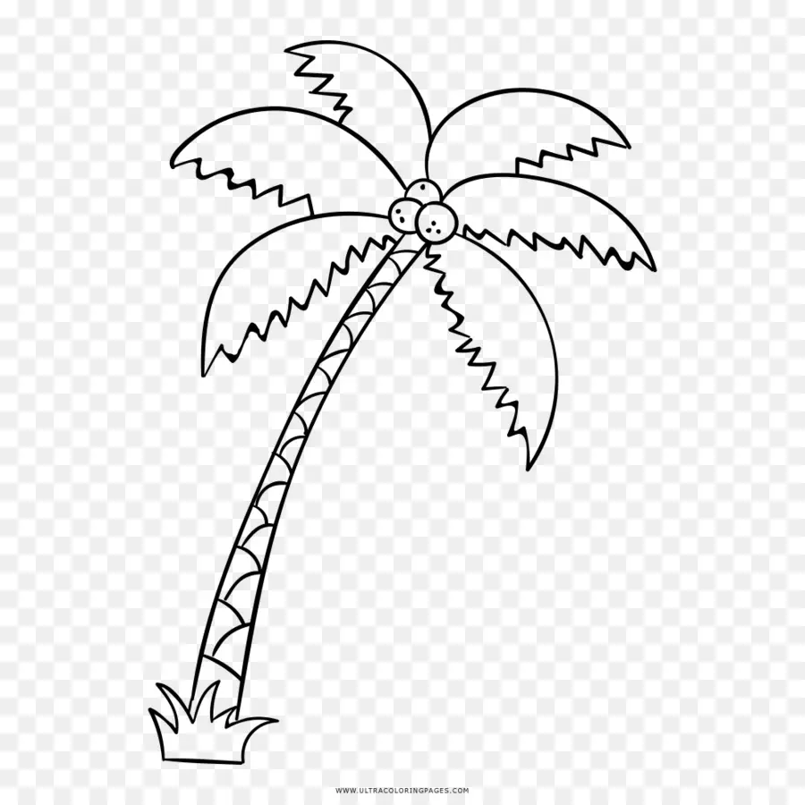 Palmera，árbol PNG