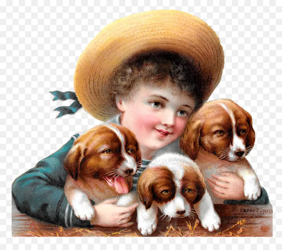 Niño Con Cachorros，Mascotas PNG