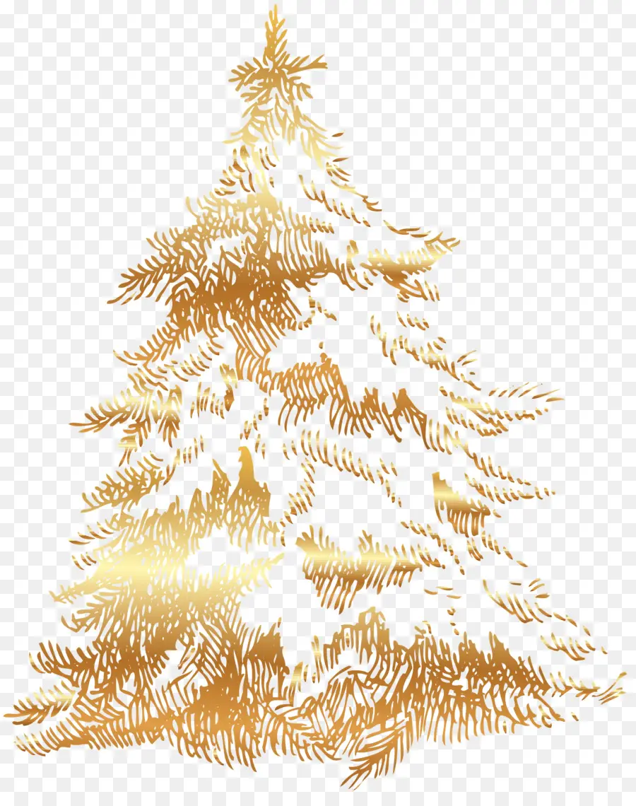 árbol De Navidad，Abeto PNG