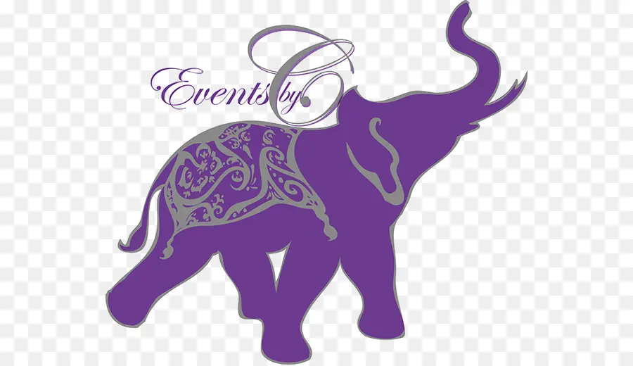 Elefante Morado，Evento PNG