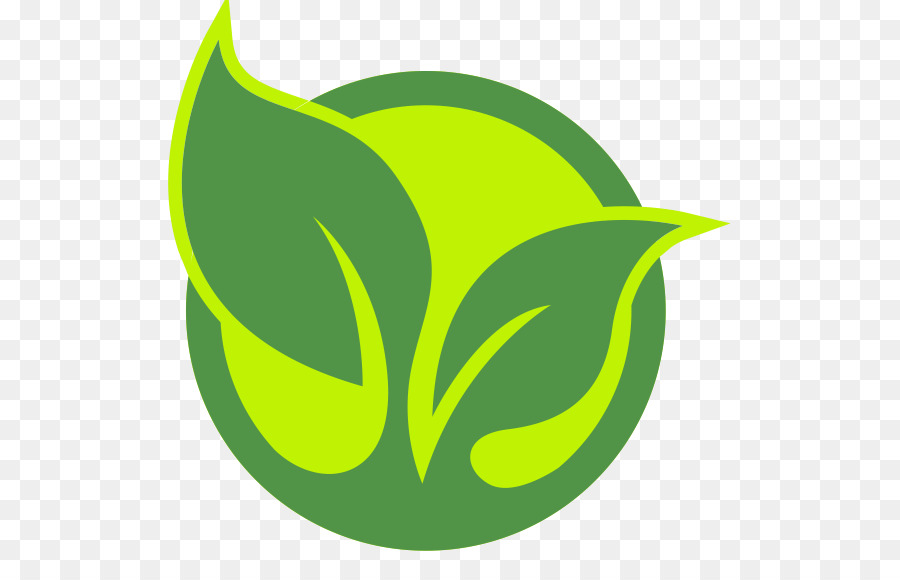 Hojas Verdes，Planta PNG