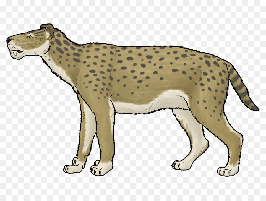 Cheetah，León PNG