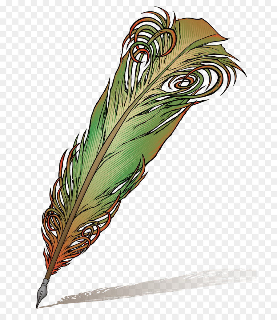 Pluma De Pavo Real，Vistoso PNG