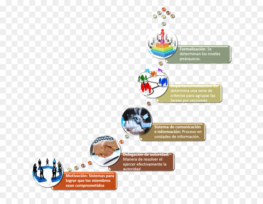 Organización，Estructura PNG