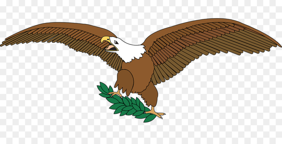 águila，Pájaro PNG