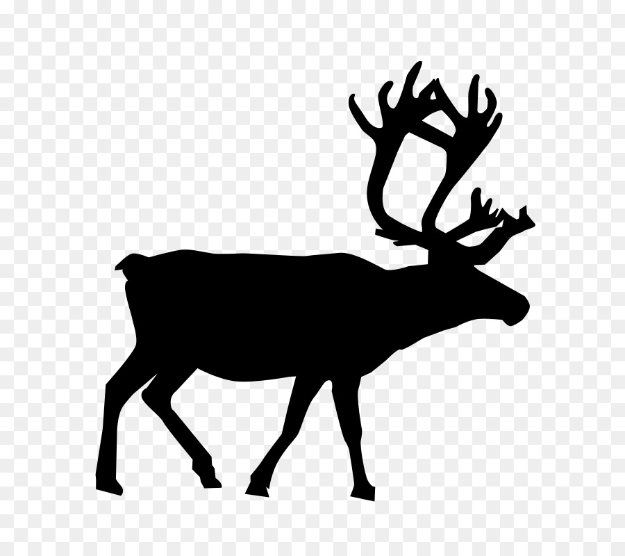 Reindeer，Deer PNG