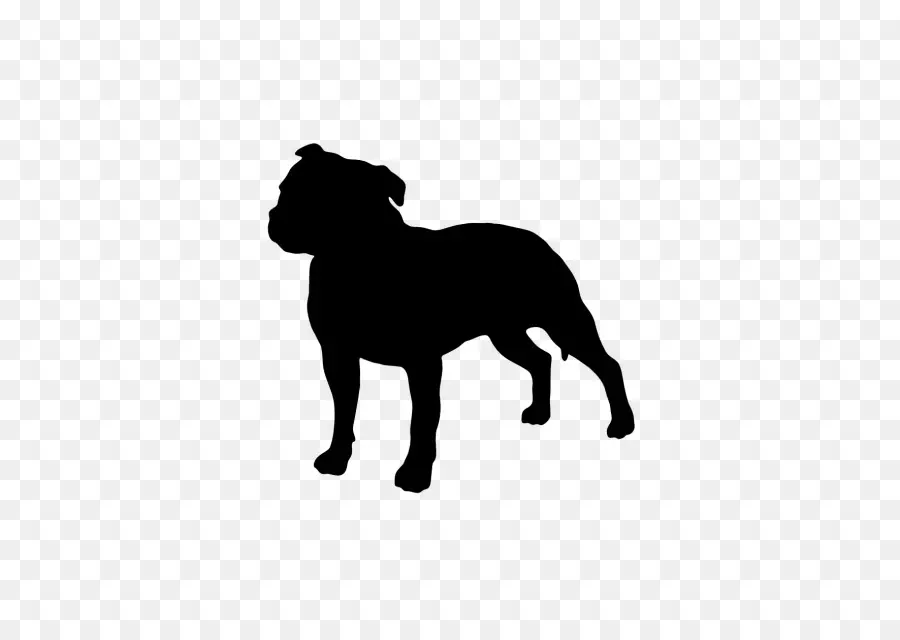 Staffordshire Bull Terrier，American Staffordshire Terrier PNG