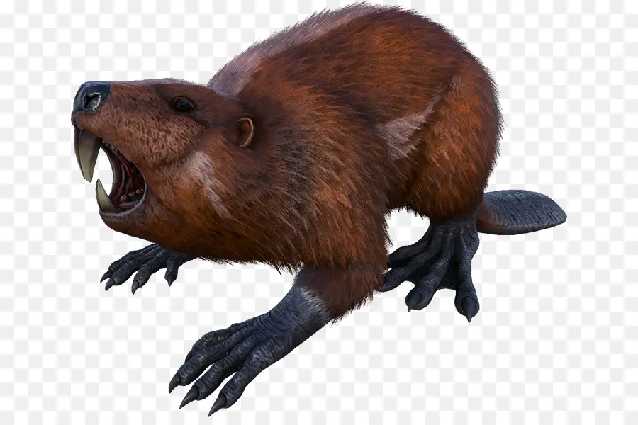 Beaver，Arca De Supervivencia Evolucionado PNG