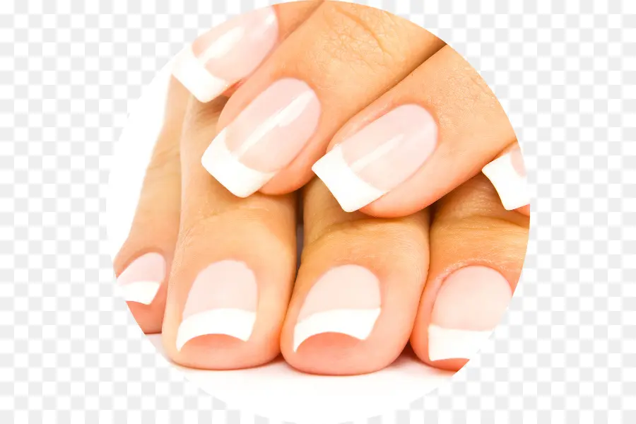 Manicura，Franske Negle PNG