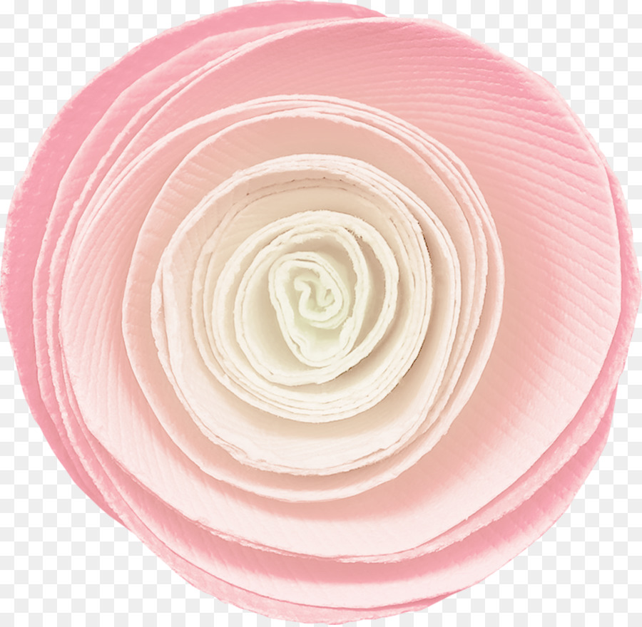 Rosa M，Círculo PNG