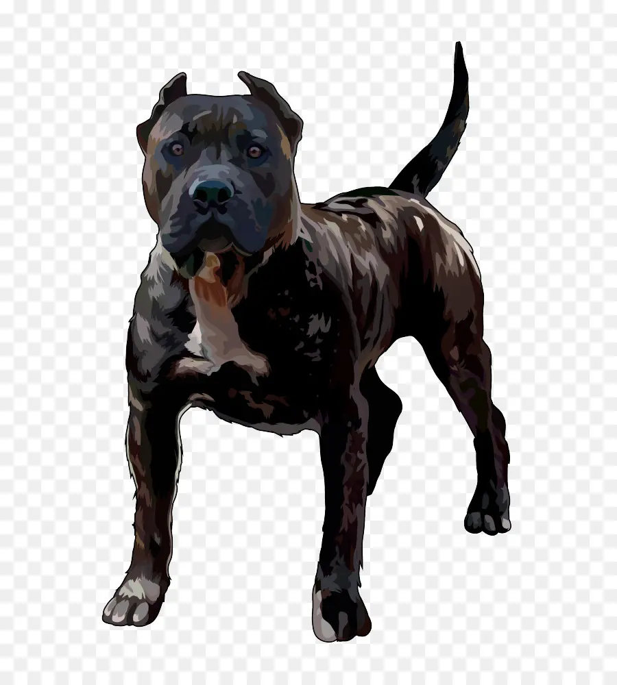 Raza De Perro，Perro De Presa Canario PNG