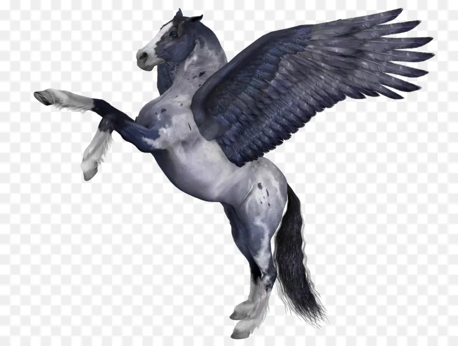 Pegasus，Pony PNG