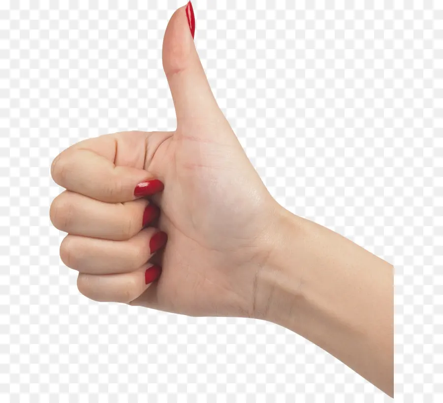 Gesto De Pulgar Hacia Arriba Con La Mano，Pulgares Hacia Arriba PNG