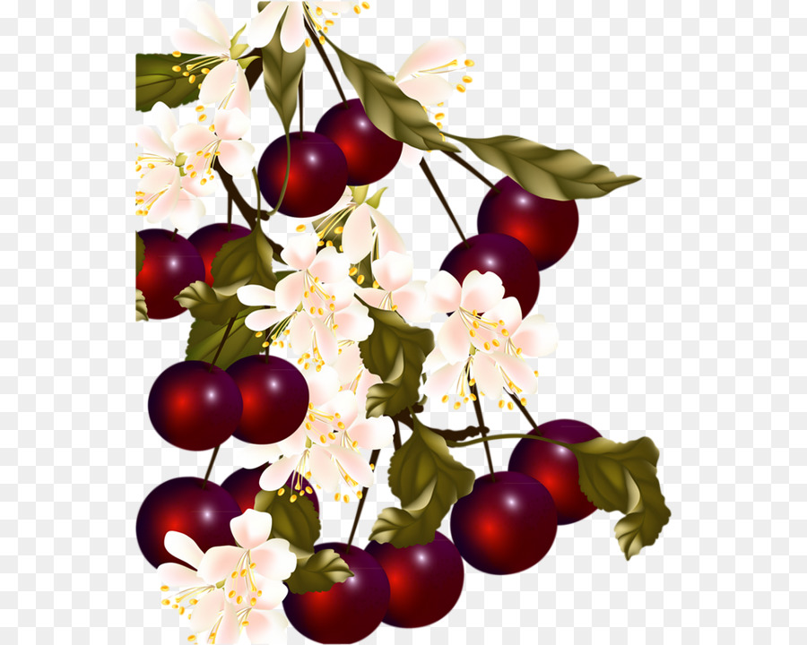 Cherry，Berry PNG