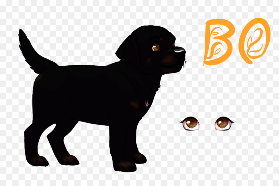 Labrador Retriever，Cachorro PNG