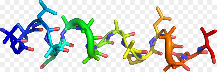 Hélice De Proteína，Molécula PNG