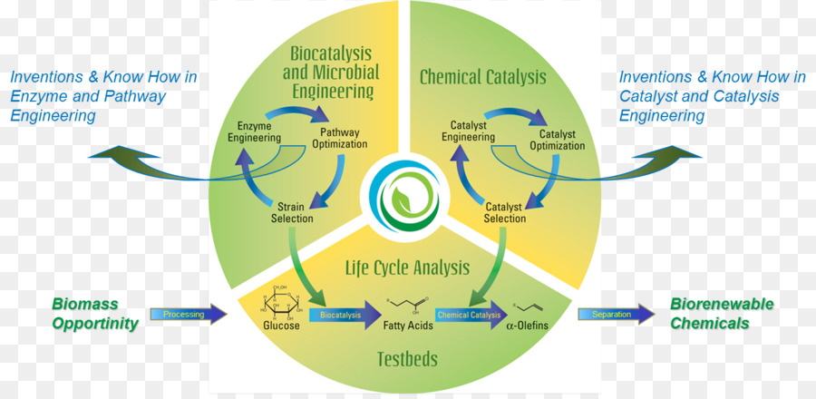 Bioproductos，Ciclo Biogeoquímico PNG