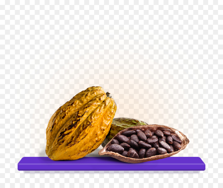 Grano De Cacao，Cocina Vegetariana PNG