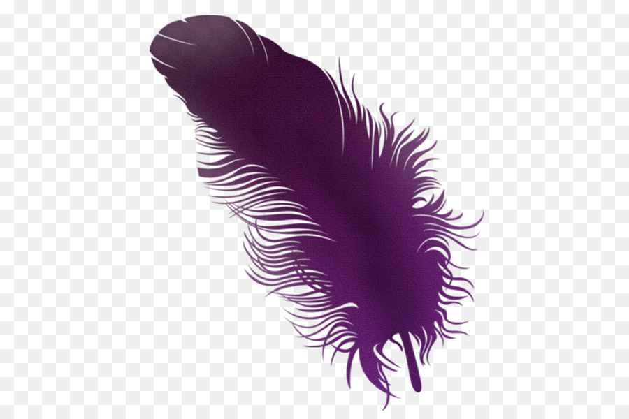 Pluma Morada，Pájaro PNG