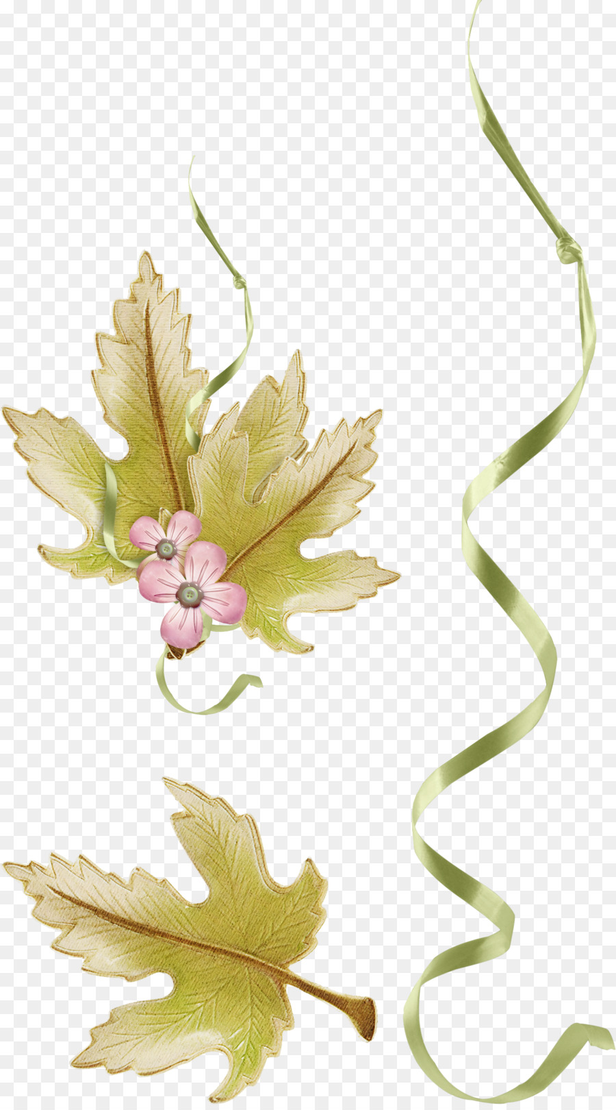 Diseño Floral，Hoja PNG