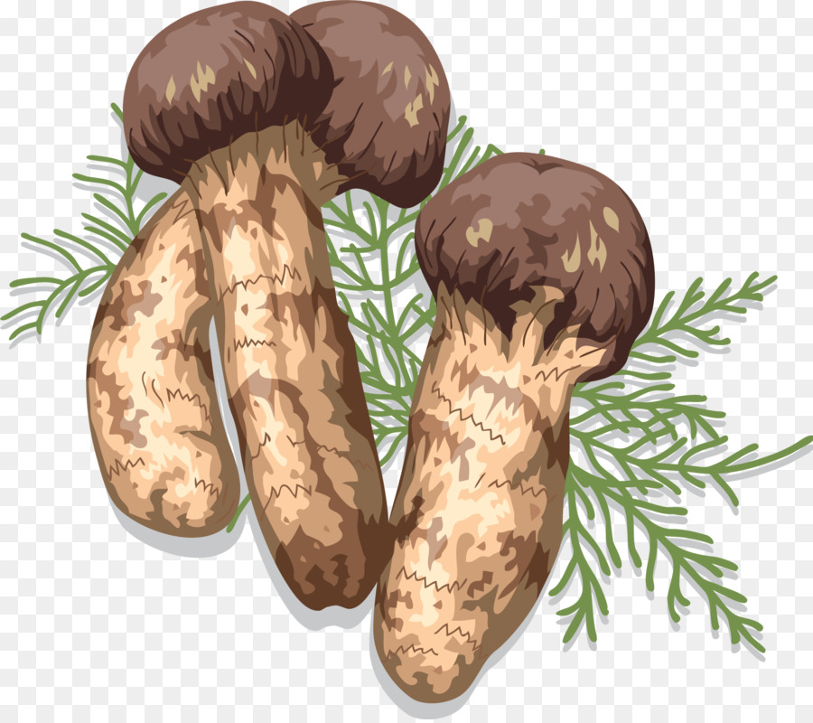 Matsutake，Champiñón PNG