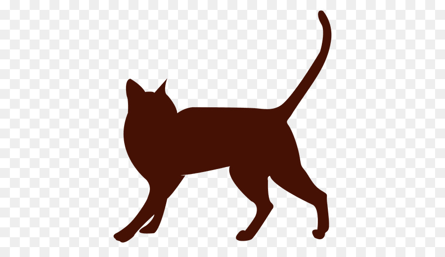 Gato Negro，Felino PNG