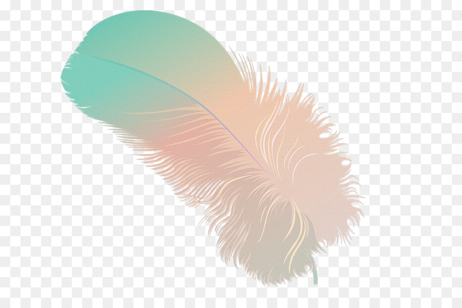 Pluma，Dibujo PNG