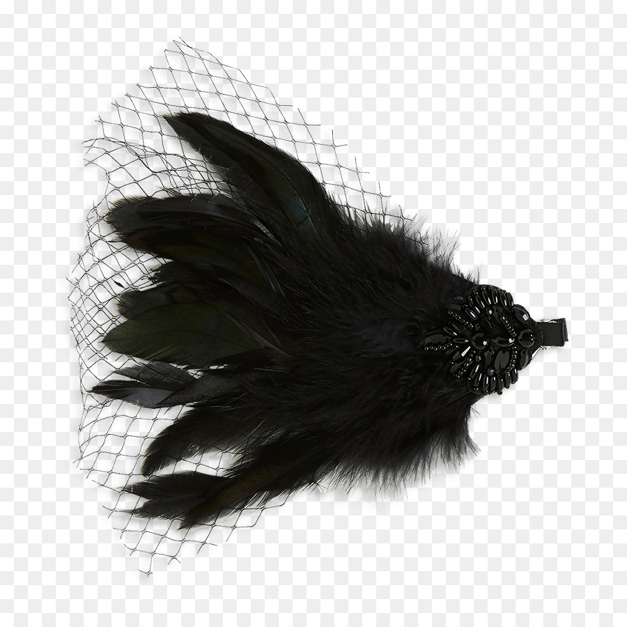 Pluma，Blanco PNG