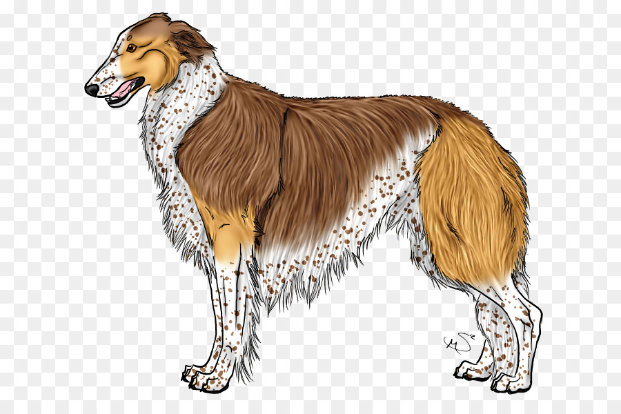 Borzoi，Silken Windhound PNG