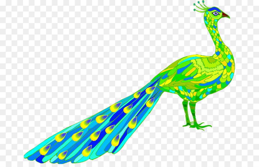 Pavo Real Verde，Plumas PNG