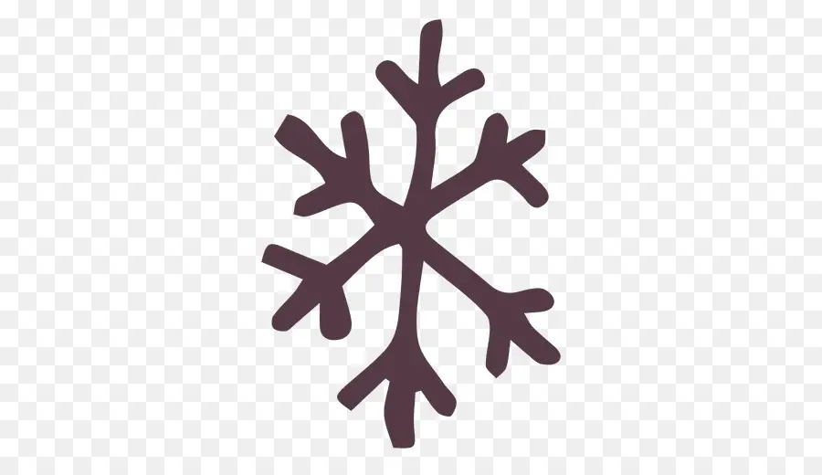 Copo De Nieve，Iconos De Equipo PNG