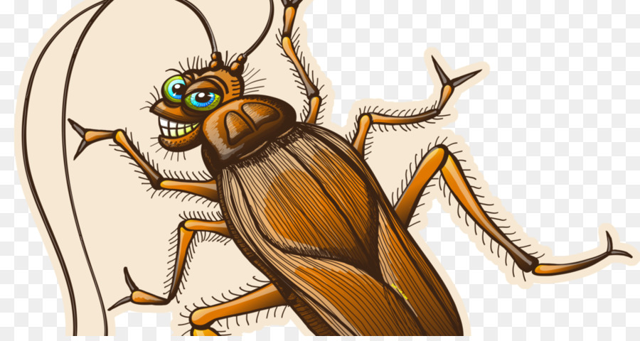 Cucaracha，Dibujo PNG