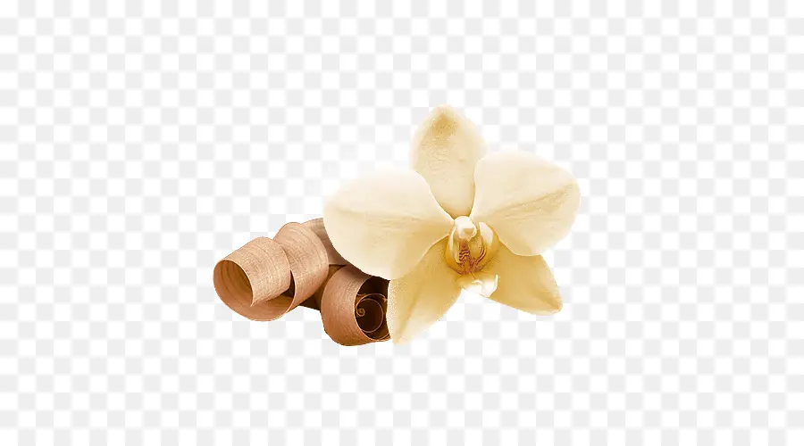 Flor，Madera De Sándalo De La India PNG