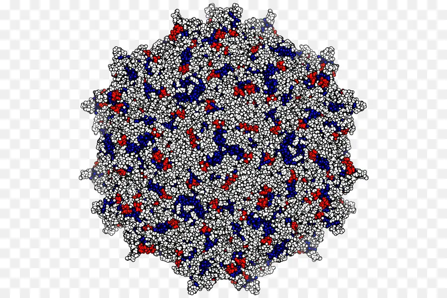 Estructura Molecular，Ciencia PNG