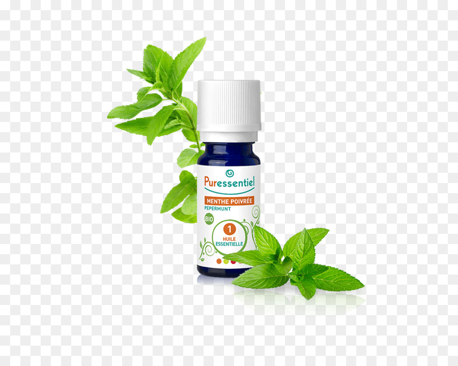 Menta，Aceite Esencial PNG