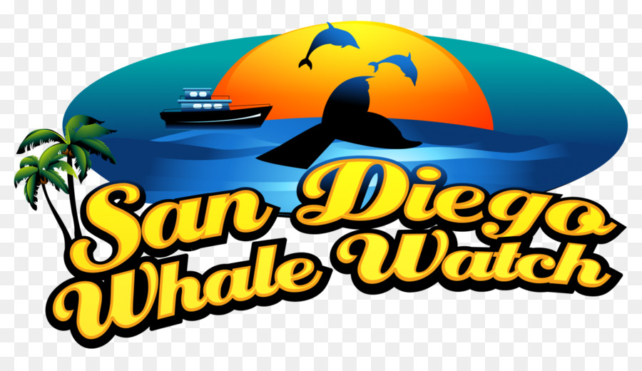 San Diego De Avistamiento De Ballenas，La Observación De Ballenas PNG