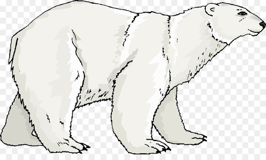 Oso Polar，Oso PNG