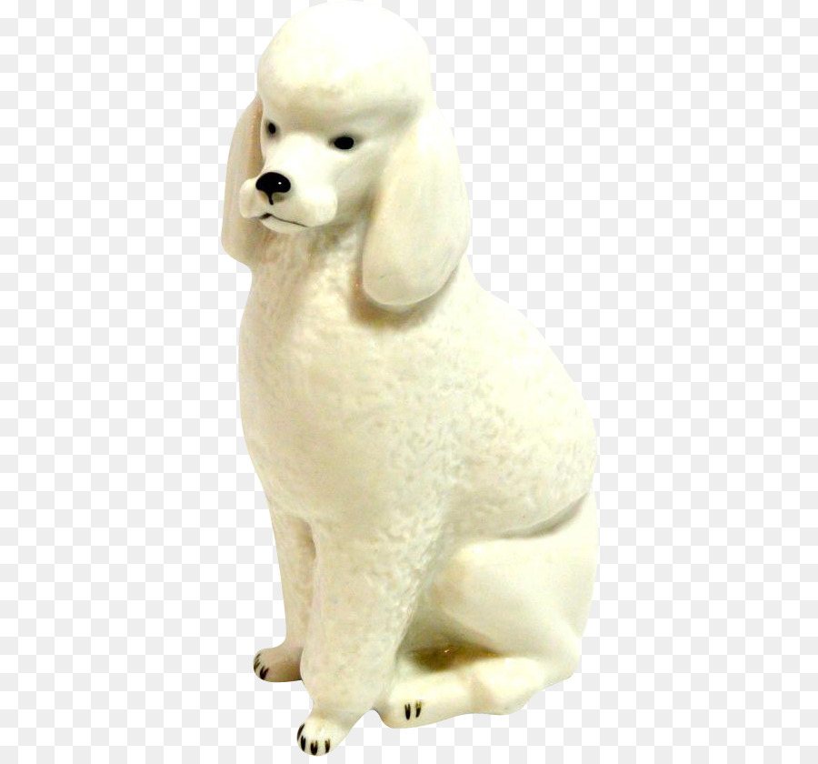 Poodle Estándar，En Miniatura Caniche PNG